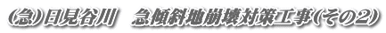(急)日見谷川 急傾斜地崩壊対策工事(その2)
